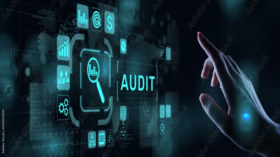 Auditing and Consultancy